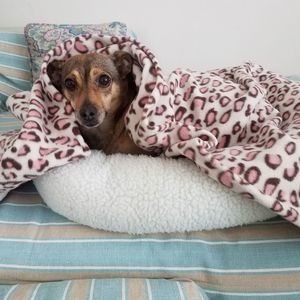 Meet your Posher, Boryana